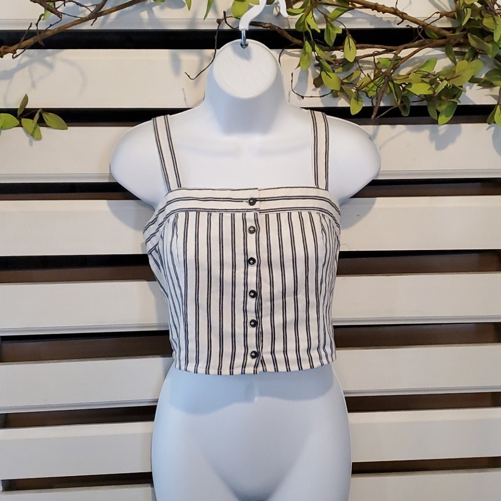 IVY + MAIN crop.                #1482
